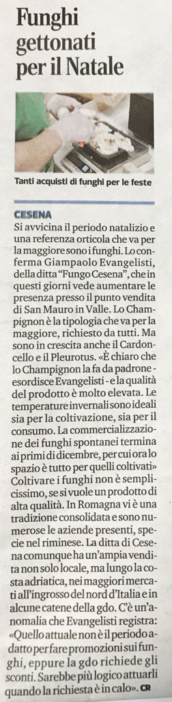 Fungo Cesena – Coltiviamo con passione